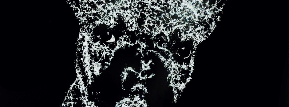 667 - Bouledogue français.jpg